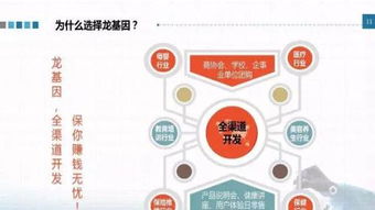 龍基因加盟 實體店培訓(xùn)成就火爆加盟店，教育信息咨詢助力創(chuàng)業(yè)成功