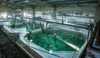 喜報！國信集團兩家水產品公司入選青島首批新經濟潛力企業